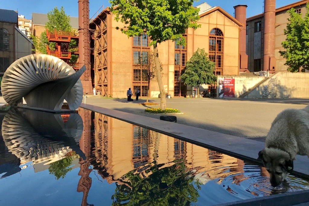 أين تقع جامعة بيلجي؟ ​