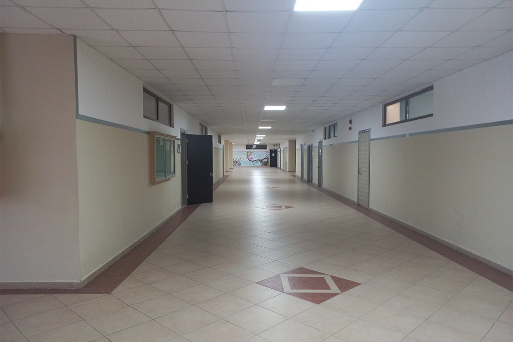 معلومات عن جامعة اسطنبول اريل ​