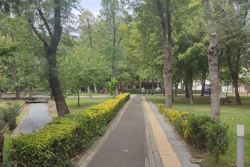 معلومات عن جامعة بيلجي​