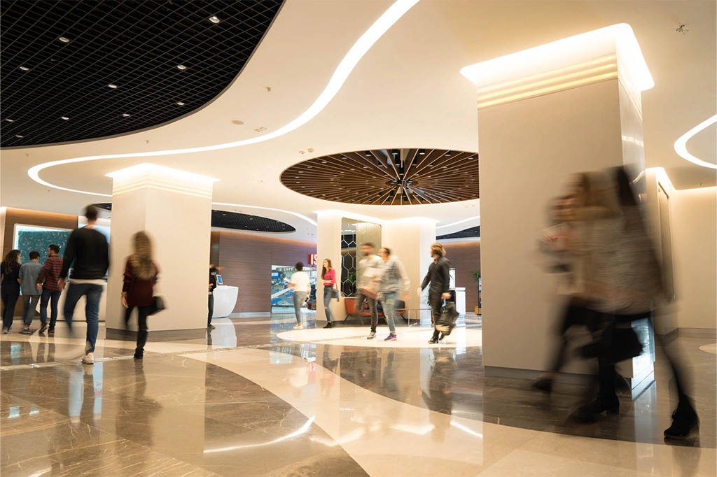 معلومات عن جامعة استينيا