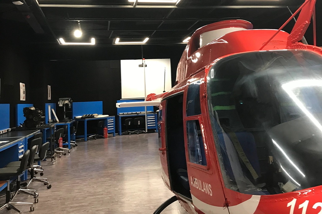 جامعة استينيا